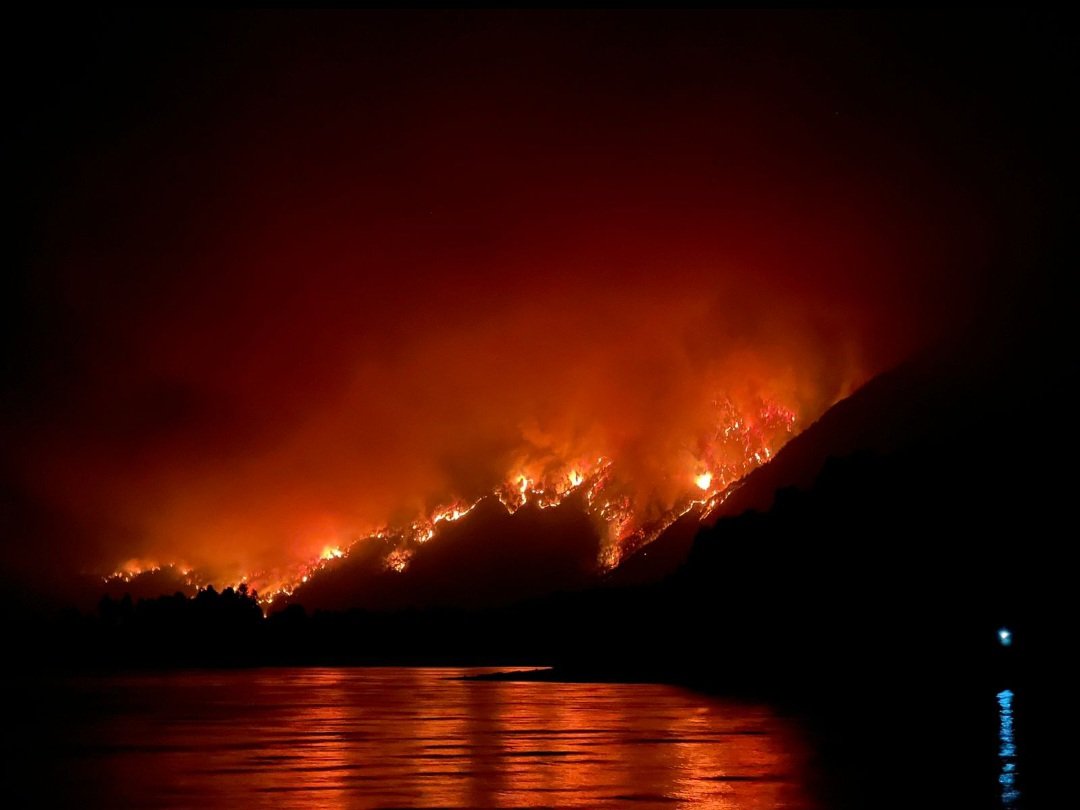 colcer_marcela's tweet photo. https://t.co/TW4dIJTQfk

"Nos han declarado la guerra"

《Padre, qué le han hecho al río, que ya no canta? El río no es el río, el bosque no es el bosque.
Monstruos con gusanos de hierro están matando la tierra》reza el tema que Serrat estrenó en 1973.
Anticipo del 🧵⤵️ https://t.co/omG7JxL9u5