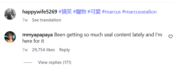 ZeroLarpDEV tweet media