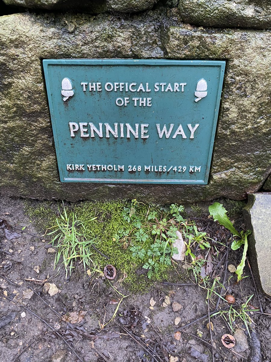 WallaFourteen14 tweet media