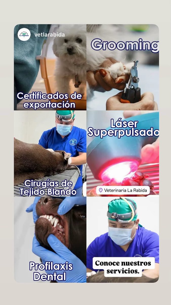 Javier Vasquez (@jevcornejo) on Twitter photo 