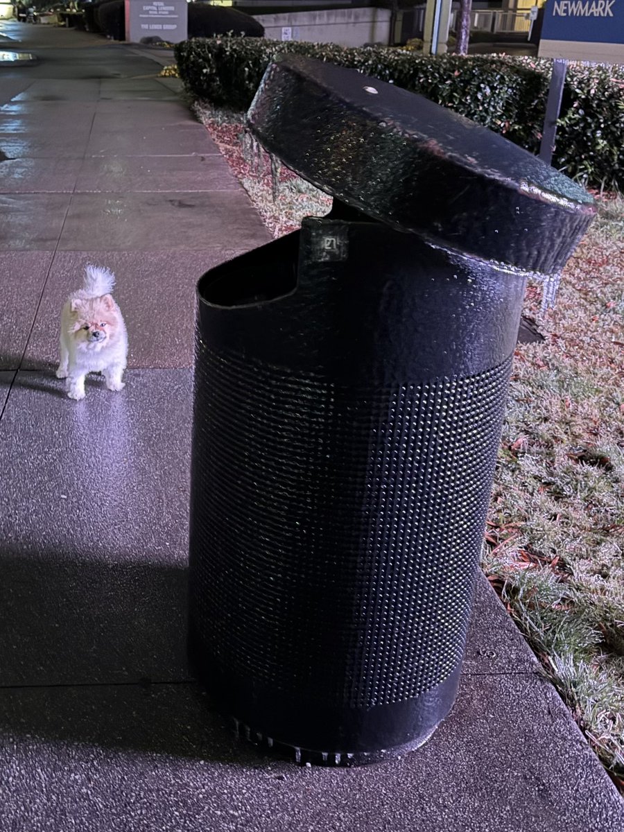 Jennifer Delgado tweet media