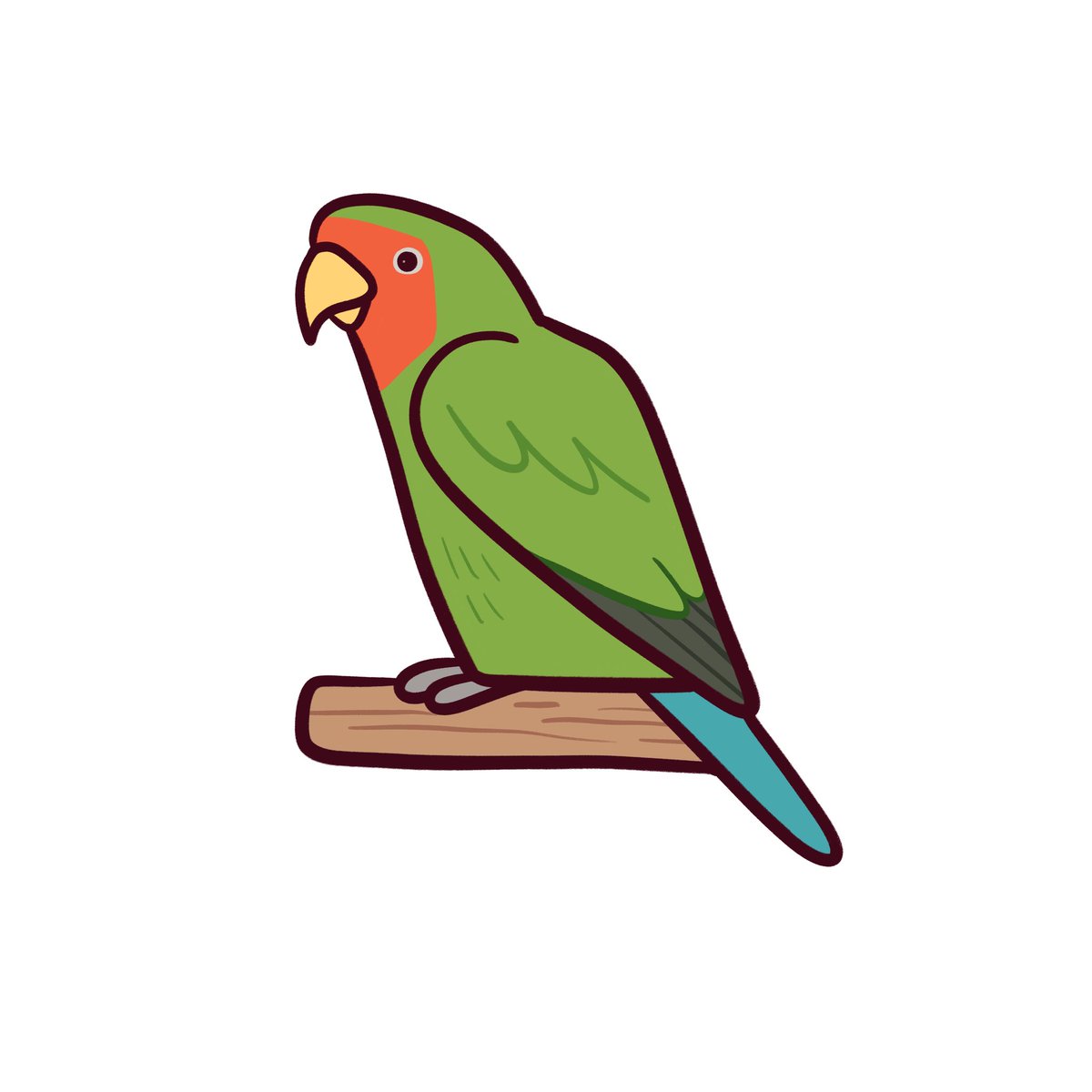 #1일1새
150. 모란앵무
몸길이13~17cm, 몸무게 40~60g의 소형앵무입니다. 몸에 비해 큰 부리를 가지고 있어 부리힘이 셉니다.(물리면사망)
눈테의 유무에 따라 눈테종과 비눈테종으로 나뉩니다.(그림은 비눈테종)암컷의 경우 공격적인 성향이 강합니다.