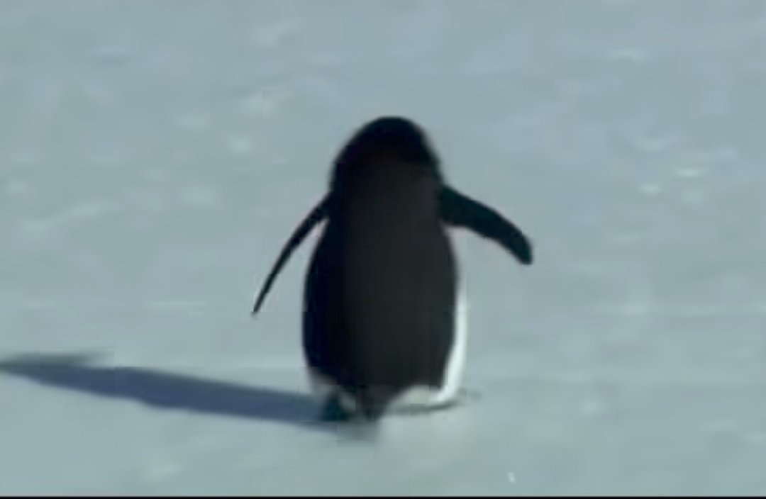 Me when my family starts talking about marriage