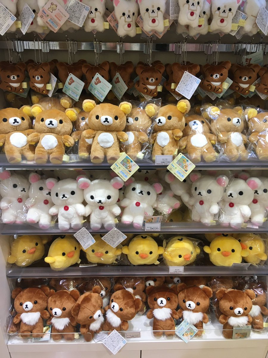 나 리락쿠마랑 여기서 살면 안 될까 ｡｡｡