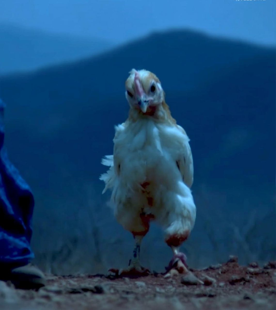 R3tardedchicken's tweet image. SAY MY NAME