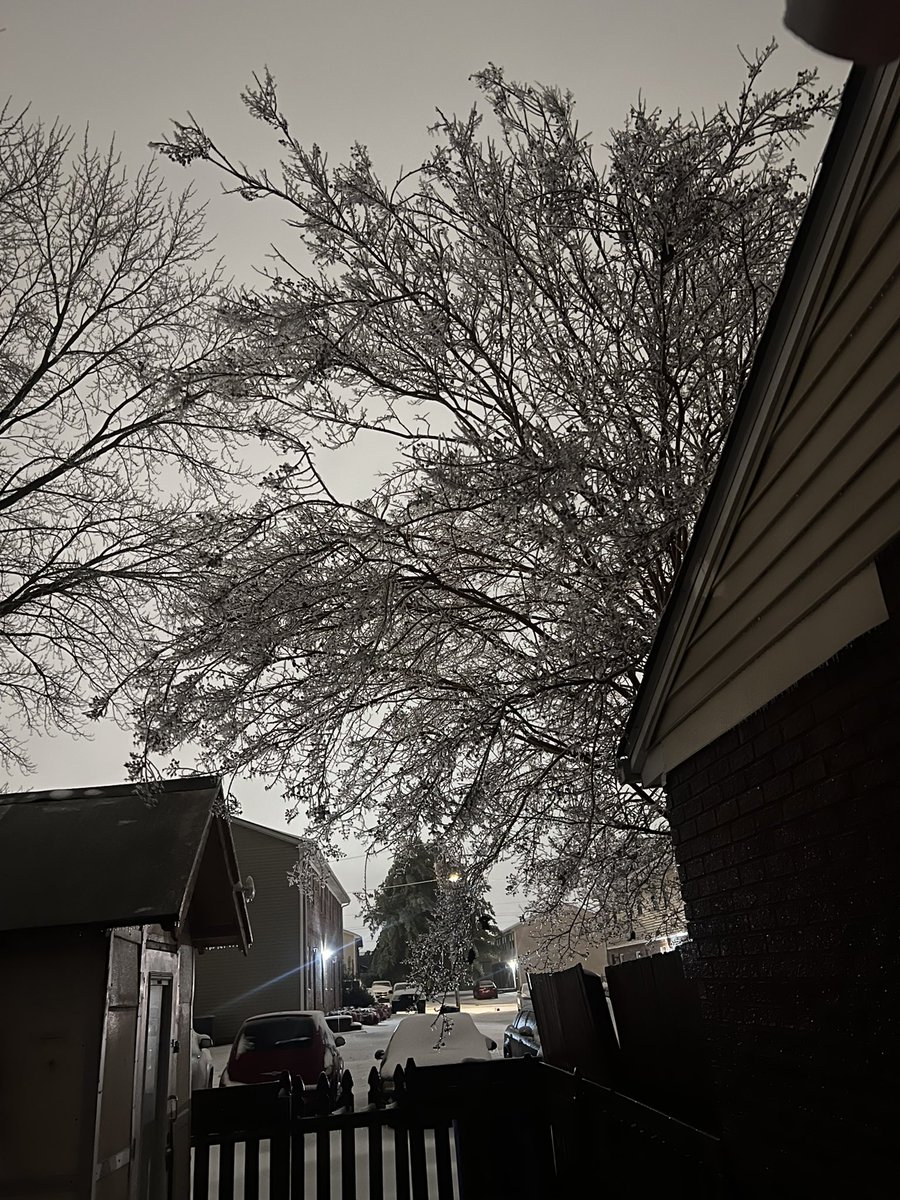 jwingooo's tweet photo. @wxornotBG lots of ice over on russellville road this morning as well. https://t.co/OS49lohprO