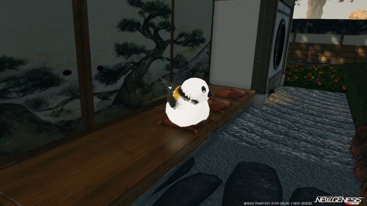 HeavyRyu9's tweet photo. ふわふわしてるだけ。
＃PSO2NGS https://t.co/r0LmFthJdY