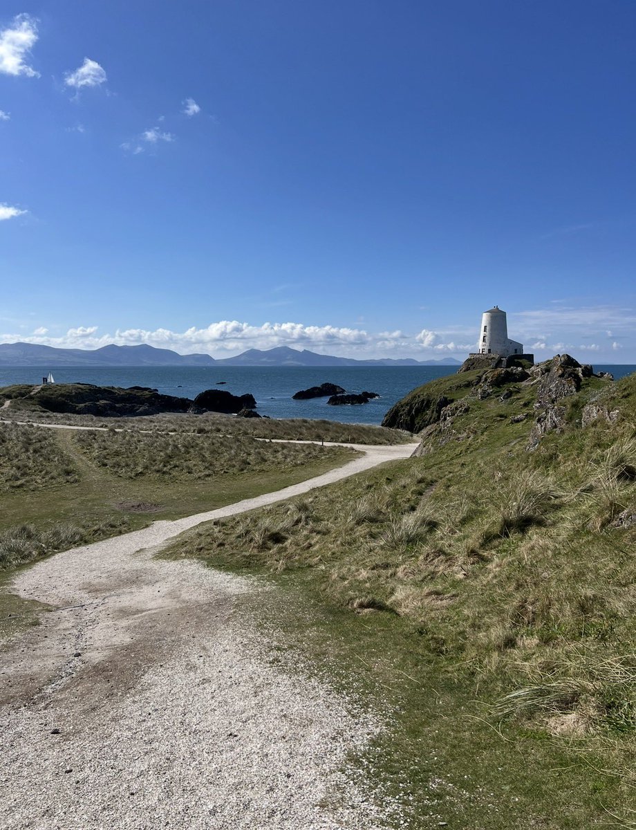 🏴󠁧󠁢󠁷󠁬󠁳󠁿 💜 Fi 💜 🏴󠁧󠁢󠁷󠁬󠁳󠁿 tweet media