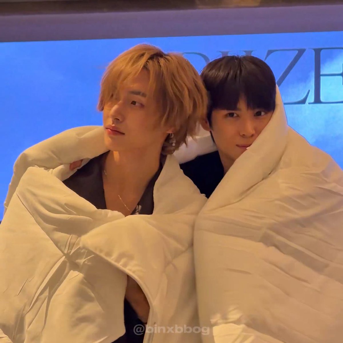 imfull's tweet image. 코타츠에 들어가서 고개만 빼꼼하는 고양이들