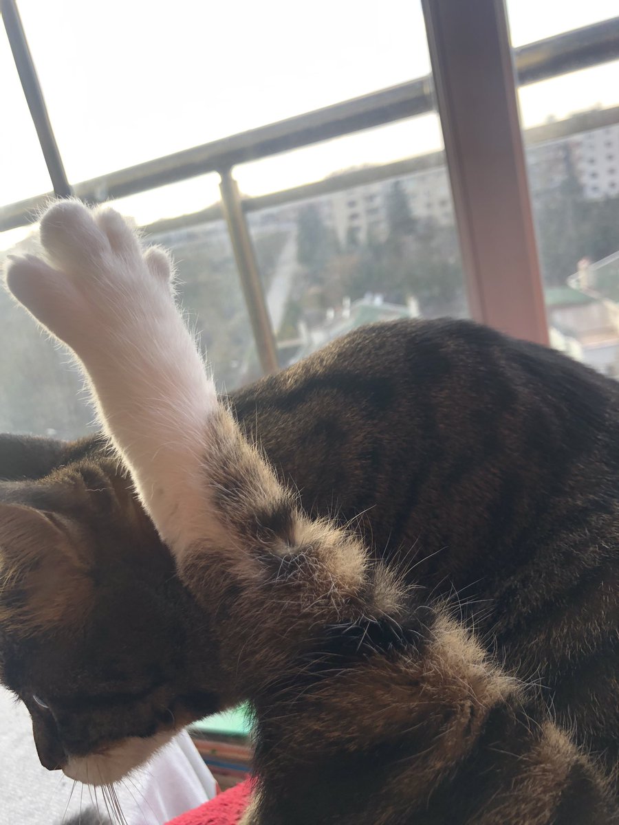 Düşünüyorum öyleyse varım’dan amaaan ne düşünmesi ben deliyim haline geçiş😻