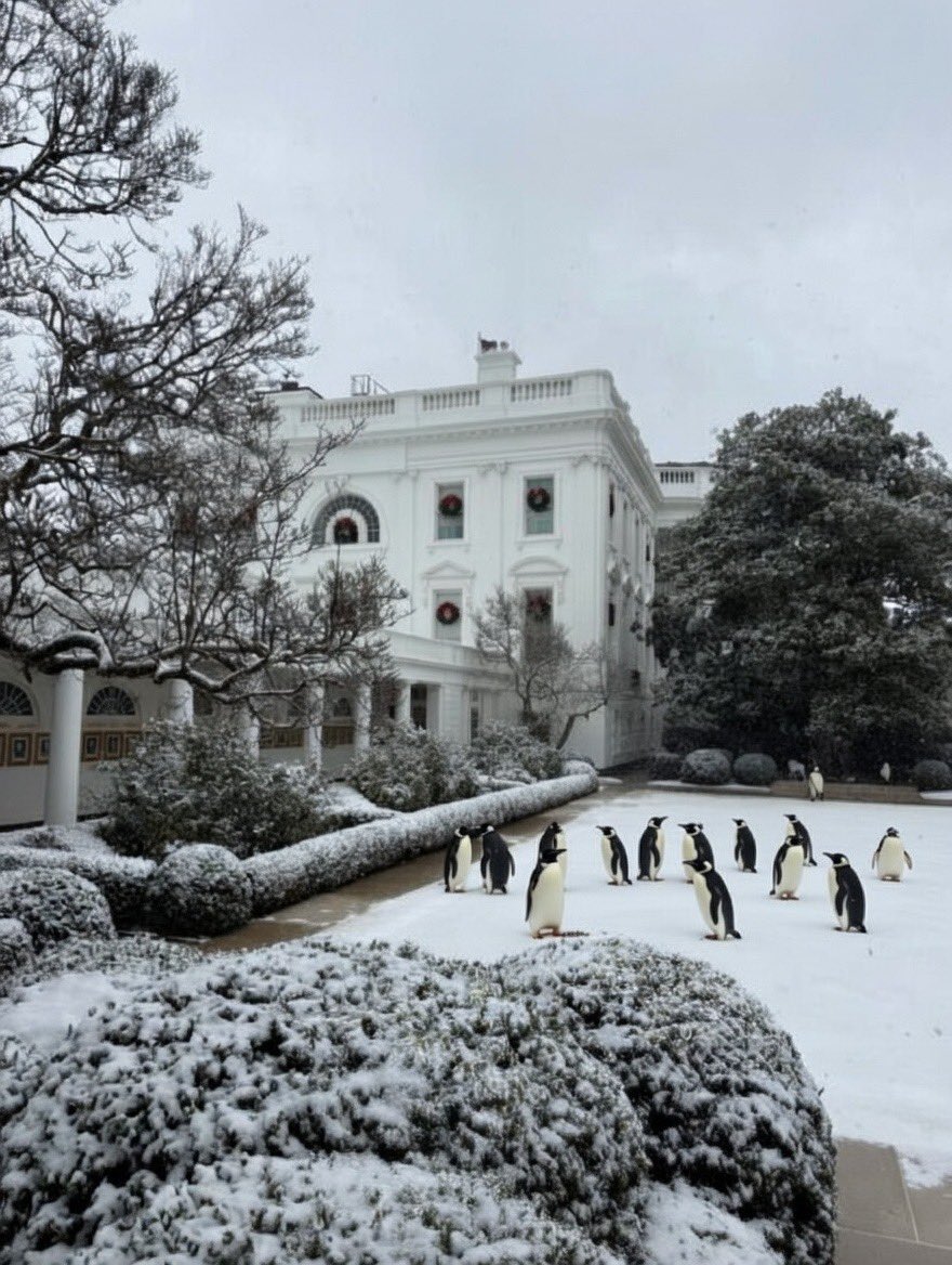 KatieMiller's tweet image. Look at the White House this morning. 

Beautiful.