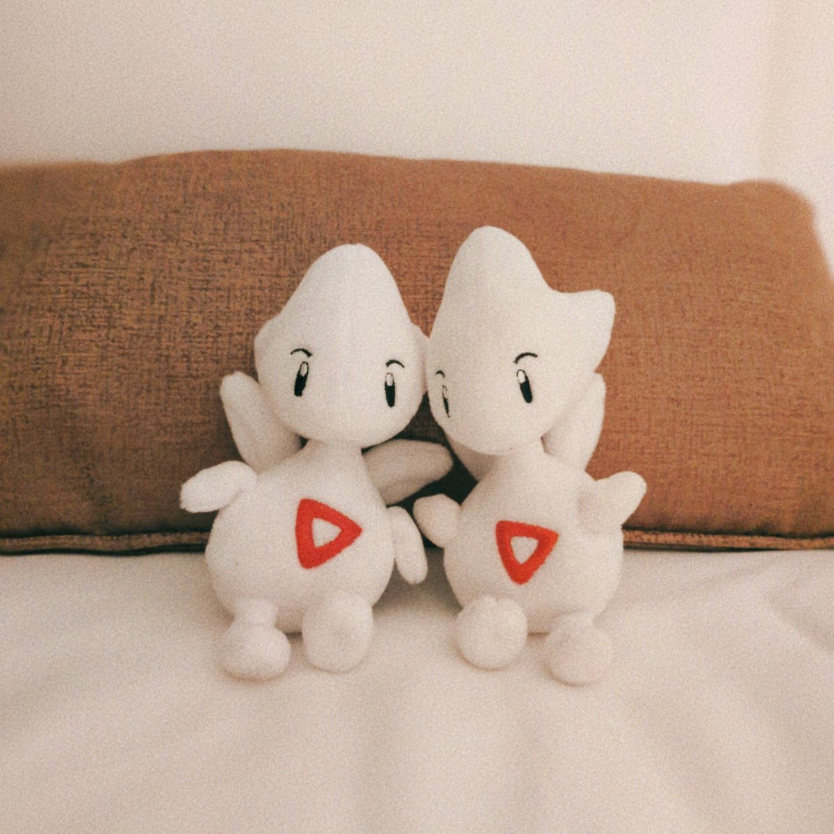 いつも見てくださる皆さまへ
このたび、ととちゃん（進化if）をお迎えすることが叶いました。とっても可憐です…😭改めてストーリー更新中です。今後とも ととちーく共々よろしくお願いいたします！