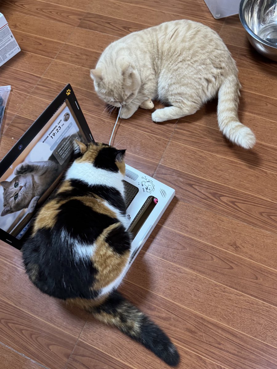 yayee2548's tweet image. ของชั้น