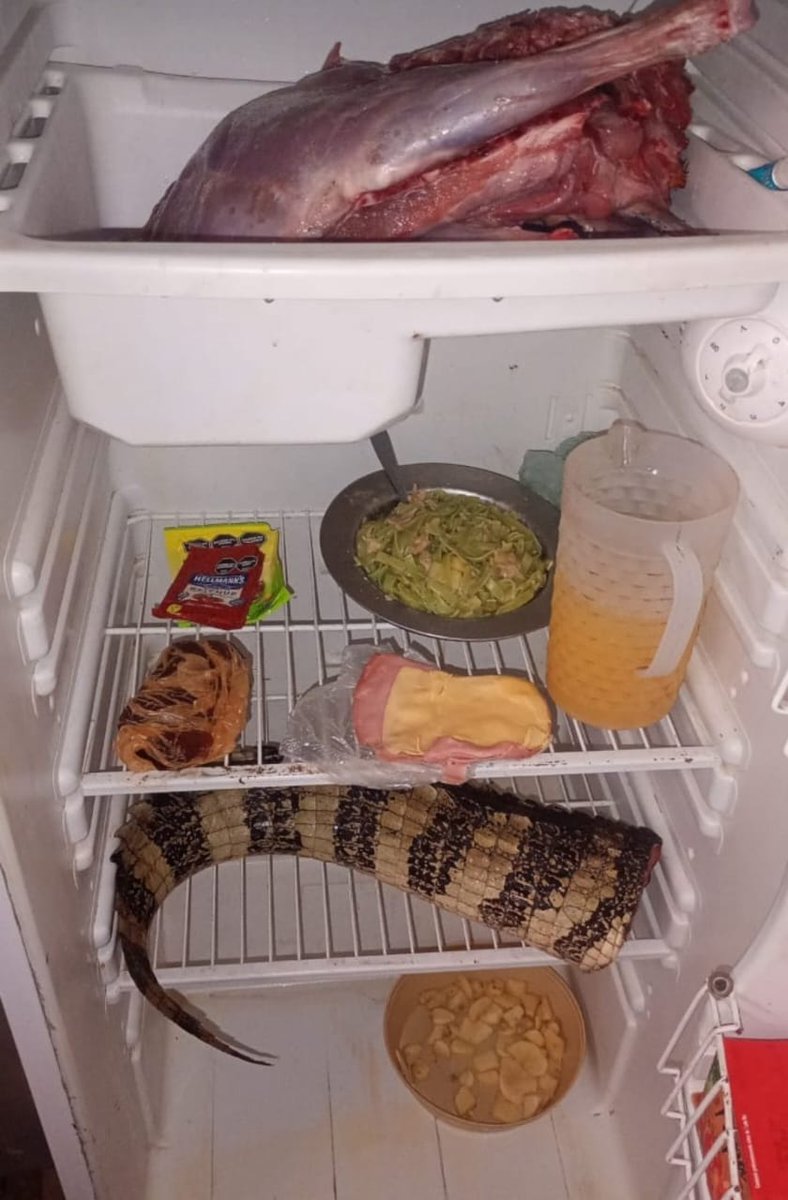 culinarygod's tweet photo. Morning lunch from here

📍Somewhere in FL https://t.co/R1tnntIxBA