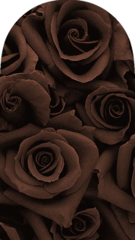 Blackwallp24526's tweet image. Your screen. But darker. Better. 🖤✨
Pure Black • Space • Neon • Luxury • Abstract
Get it now 👇
 apps.apple.com/us/app/black-w…
#BlackEdition #DarkAesthetic #AMOLEDScreen #PhoneUpgrade #Trending