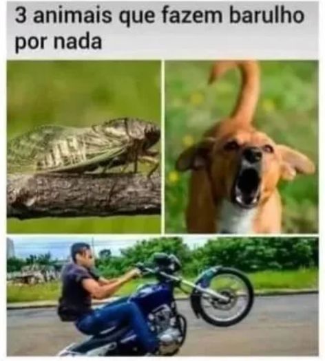 memes_horriveis's tweet photo. https://t.co/gkykYvXbsV
