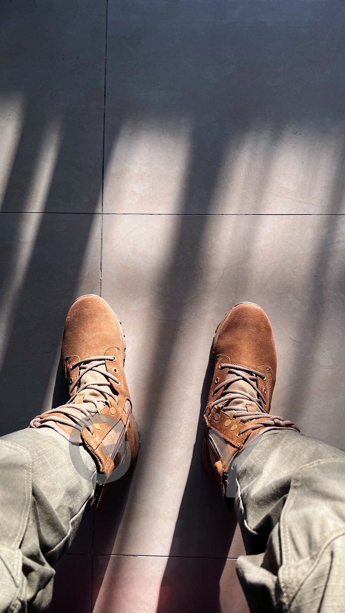 刚影S🏀 tweet media