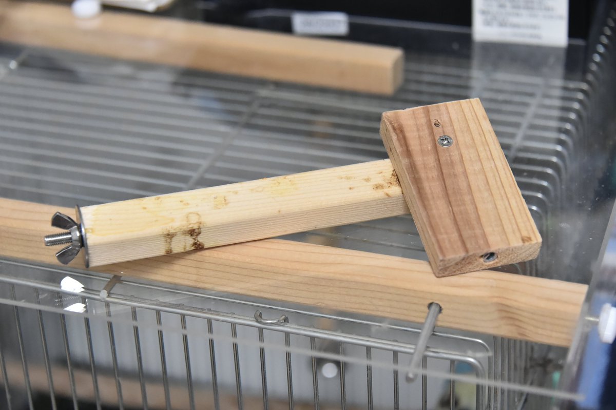 たけちゃんは ぴいちゃんが最後に使ってた食器掛けを そのまま取って