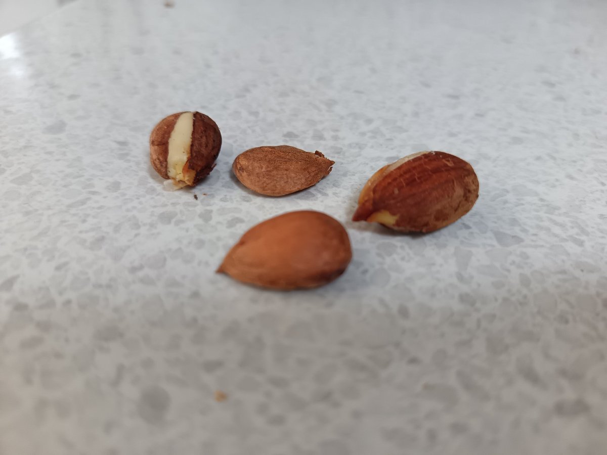 Rosemary Cottage Hook NGS tweet media