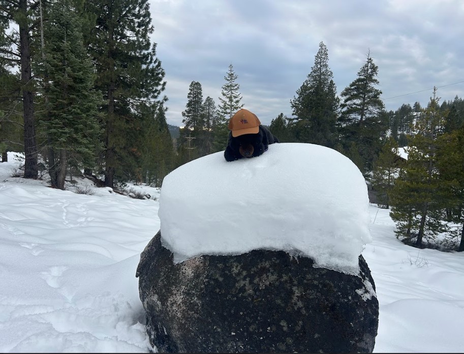 Meet Vox tweet media