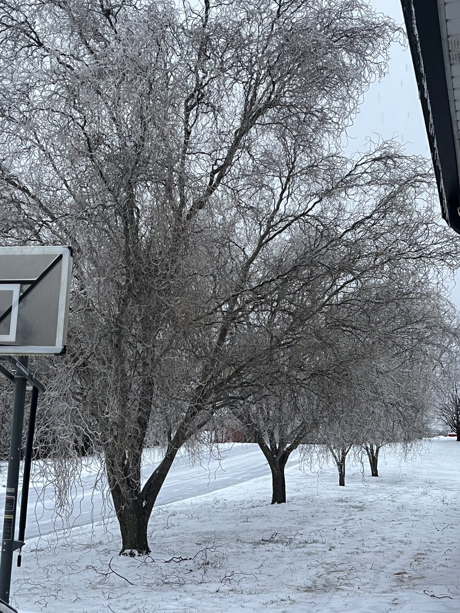 Mike Head tweet media