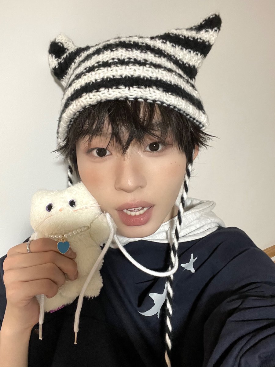 SoundsGrrr's tweet photo. 고양이들 목걸이찬거 개쥬아 왜냐면 집나갔을때 고양이 찾습니다 특이사항:하얗고 귀여움/보석달린 목걸이를 끼고잇음 이렇게 전단지를붙이는거잖어... https://t.co/4TxHxOguPr