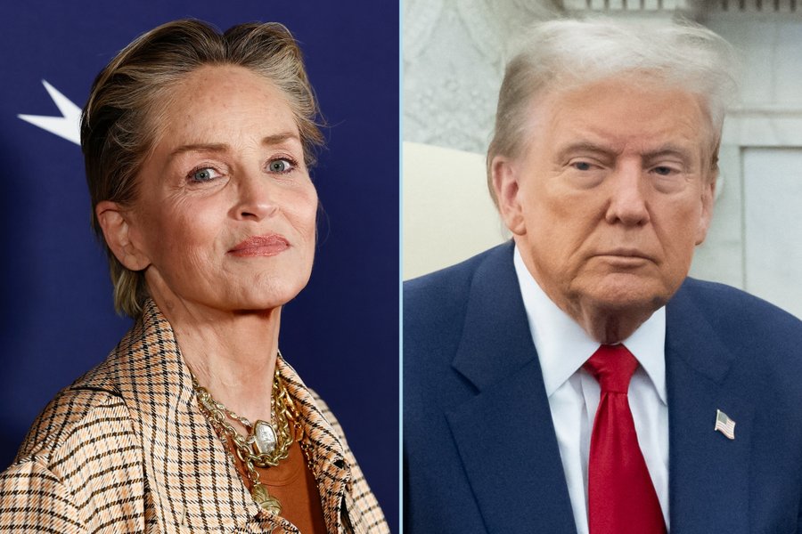politvidchannel's tweet image. BREAKING: Sharon Stone says All People who voted for Trump are 'uneducated' Americans