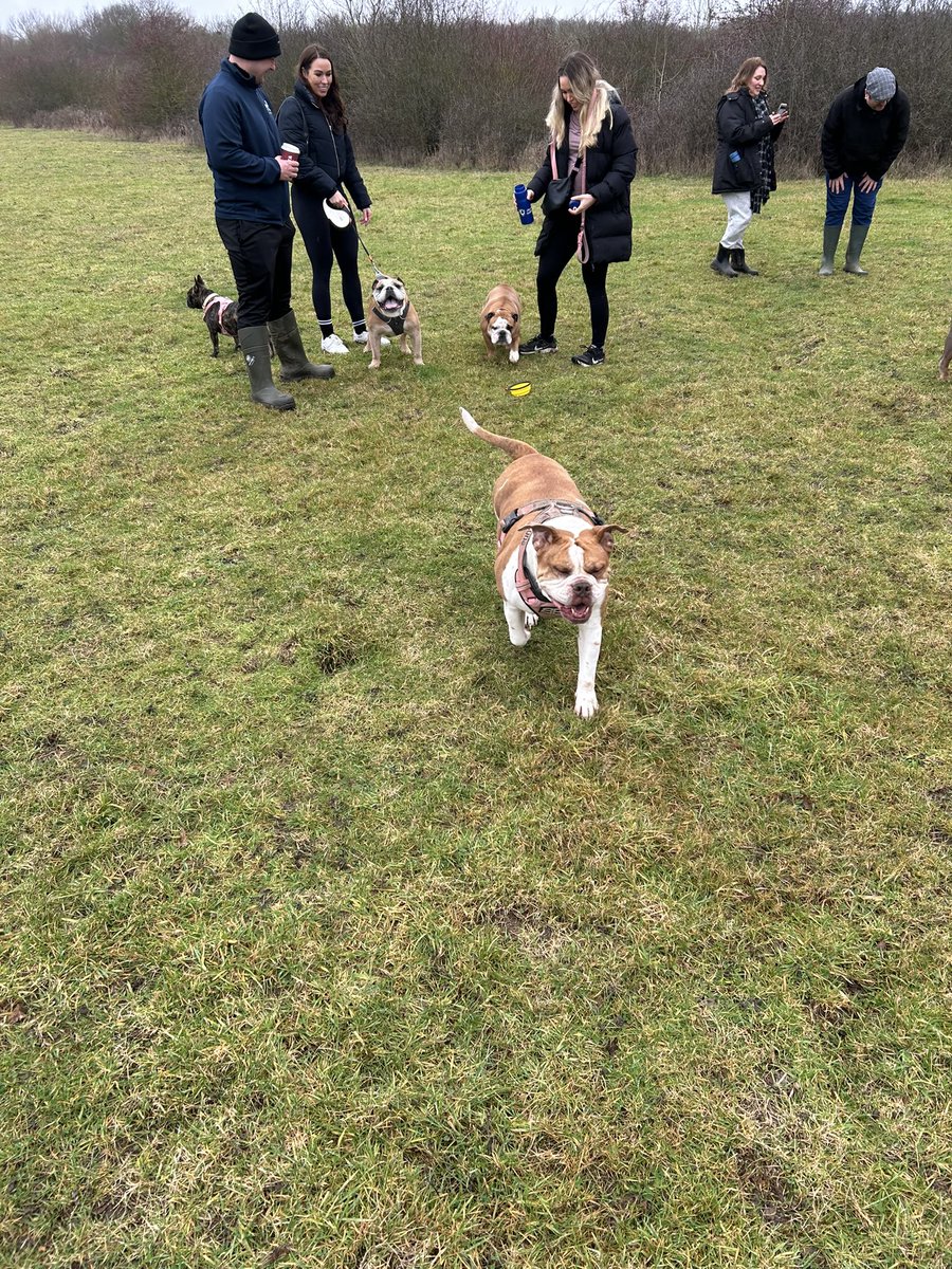 ⚒ BML⚒ tweet media