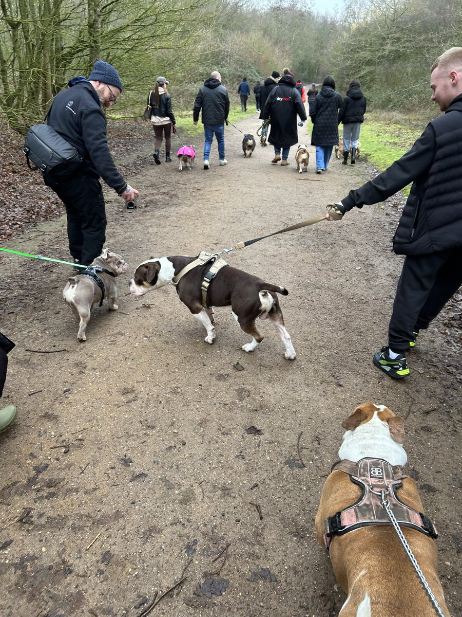 ⚒ BML⚒ tweet media