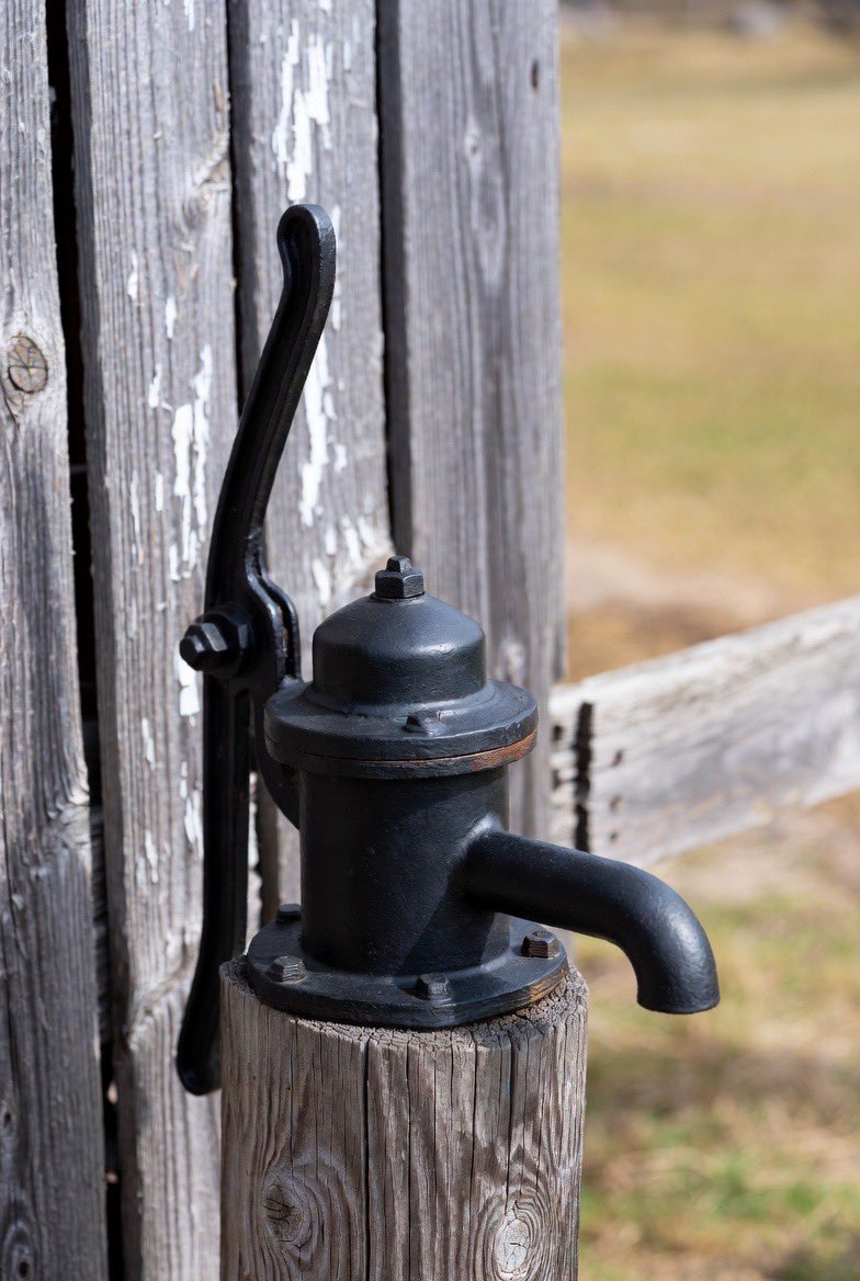 Elon Musk tweet media