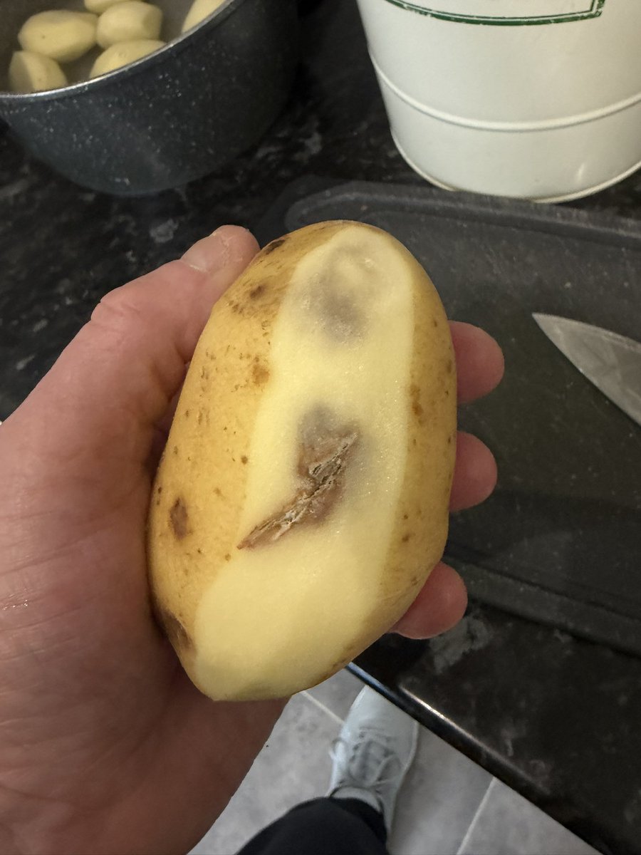 Rob Debenham tweet media