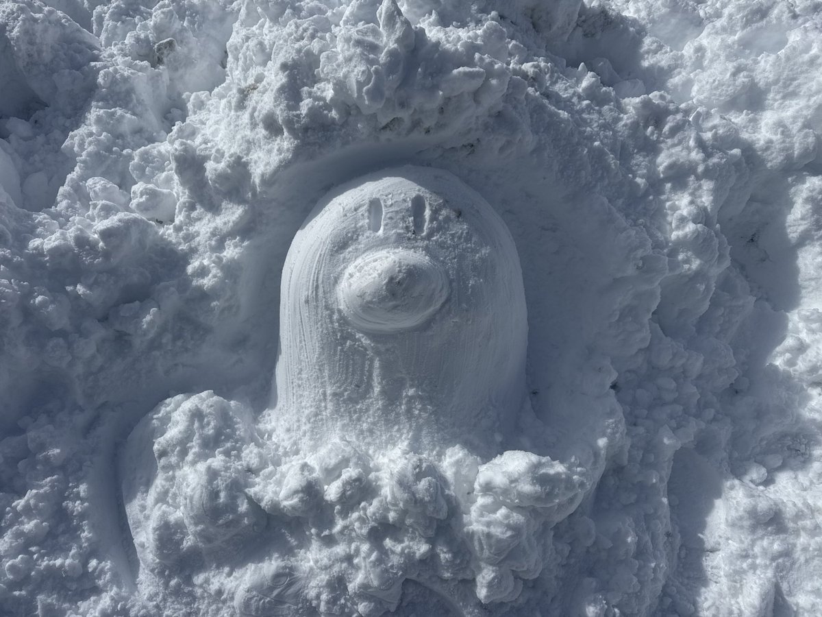 こじゃじ tweet media