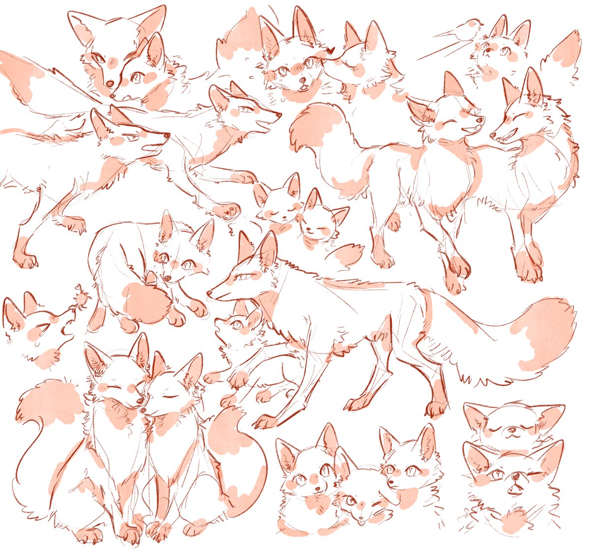 ハトノ tweet media