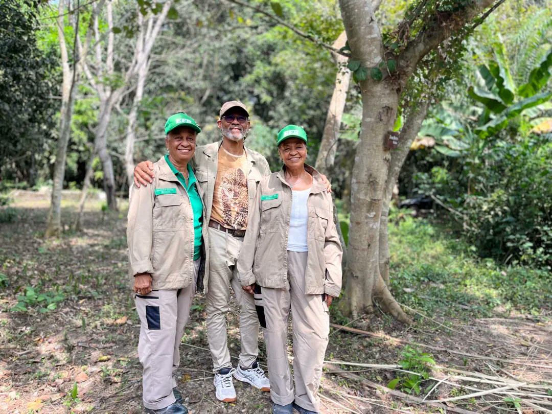 TheCable tweet media