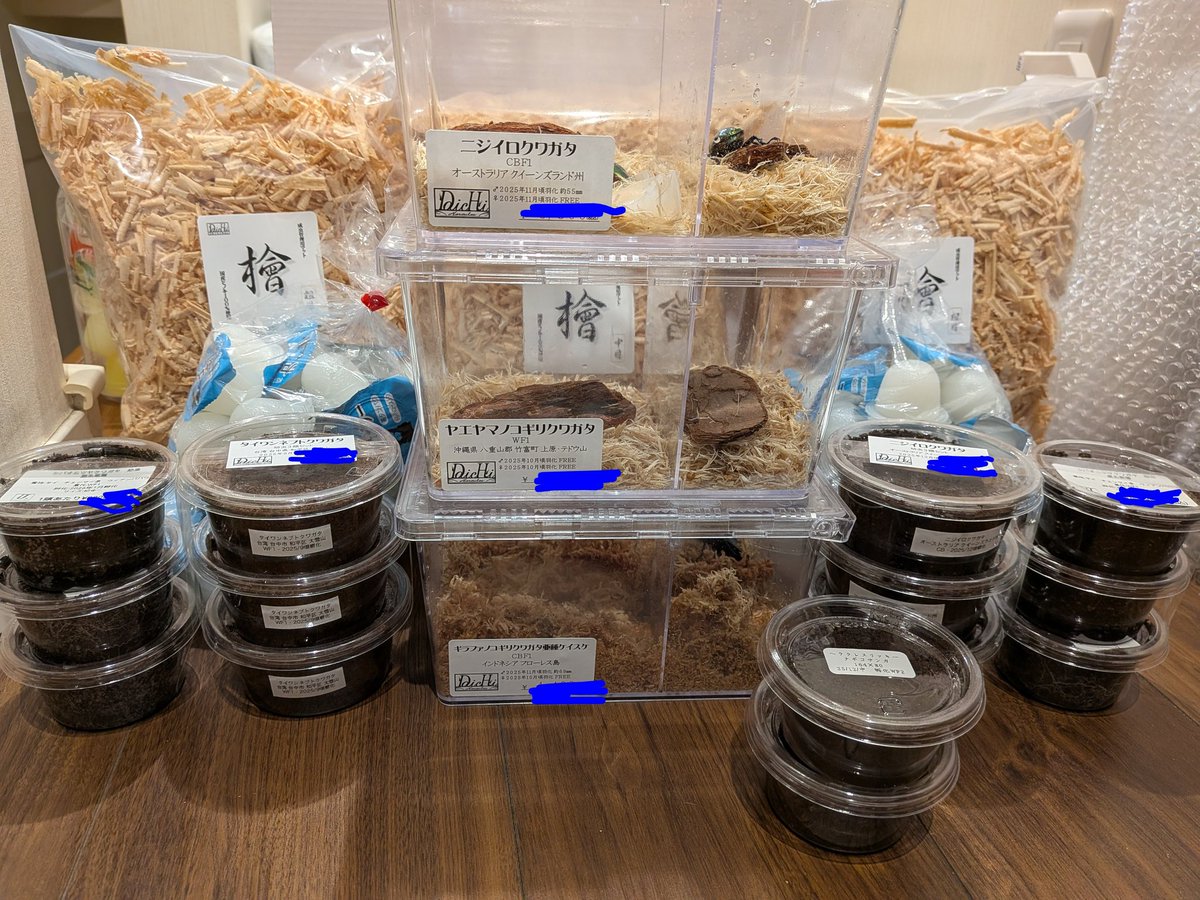 シンスケヤマダ (@akikeipo3269) / Posts / X