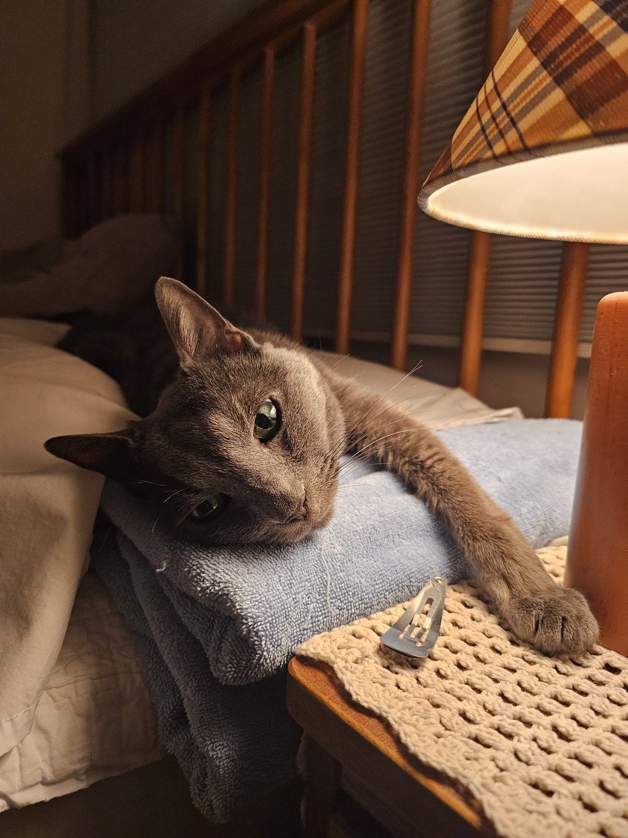 우리 공주 너무 예쁨