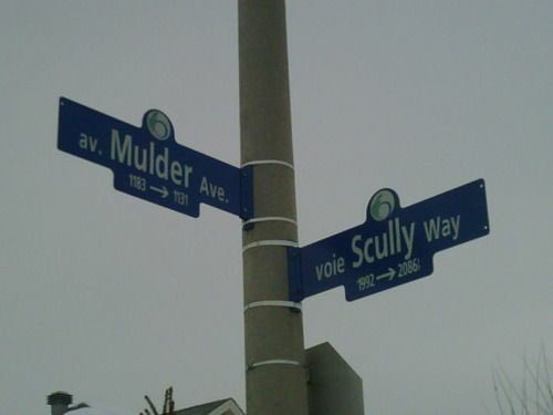 NFRMlGA's tweet image. who wanna meet up and kiss at the mulder and scully crossroad