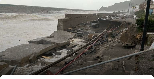 Alessandro Vesely tweet media