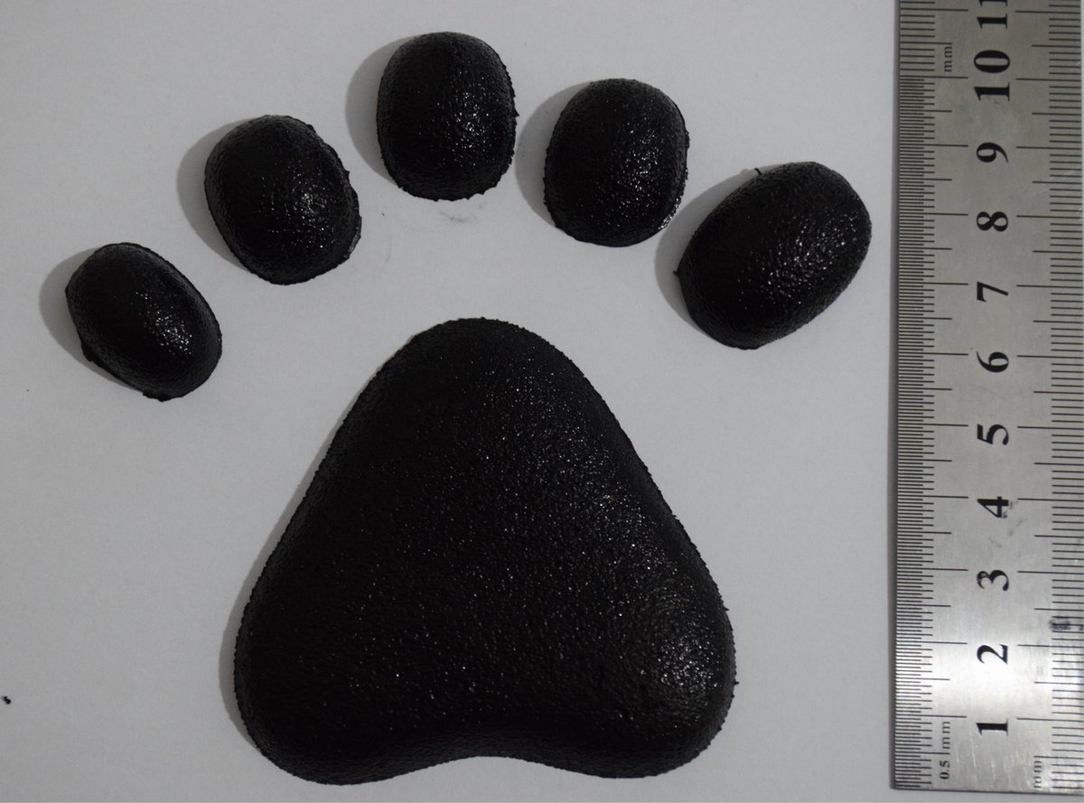 HowlSmith tweet media