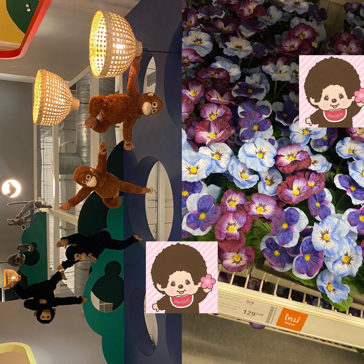 kyomidoriko07's tweet image. #kpjourneytouni

19 - 25 jan 26

อาทิตย์นี้ทำไทยจบไปเล่มนึง + alevel eng ครูอ๊อดดี้ &amp;lt;3 แล้วก็ทำดาว้องสังคมไปครึ่งเล่มแล้ว !! ♥️⭐️ ลอง onet สังคม ข้อเยอะมาก อร้าก ส่วนญี่ปุ่นก็ทวนศัพท์ n4 บท 4 + pat เก่า 🍀🍀

#วันนี้dek69ทําอะไร #dek69