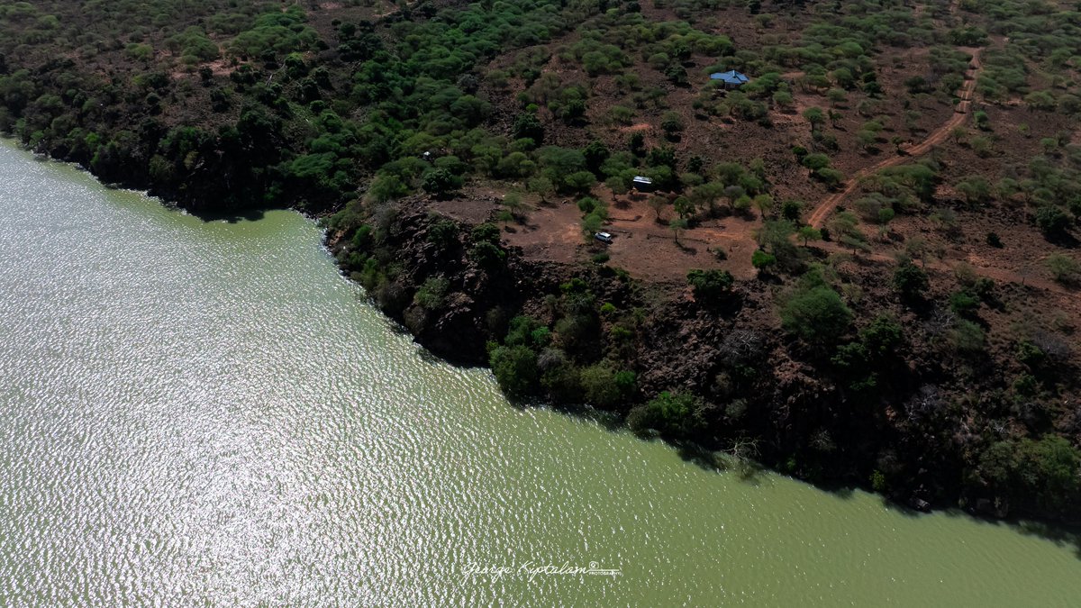 George K'talam 🇰🇪 tweet media