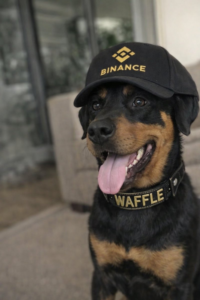 0xb2b6dcc3df20f3d62df2a2b437ba9a4143934444