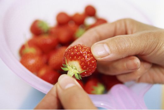 DailyBeijing's tweet image. Industry sources add that dark #strawberries generally have higher sugar content —typically between 16 to 19 degrees Brix — compared to red and white types. At optimal ripeness, they offer a rich, sweet, and soft texture. #ChineseStory