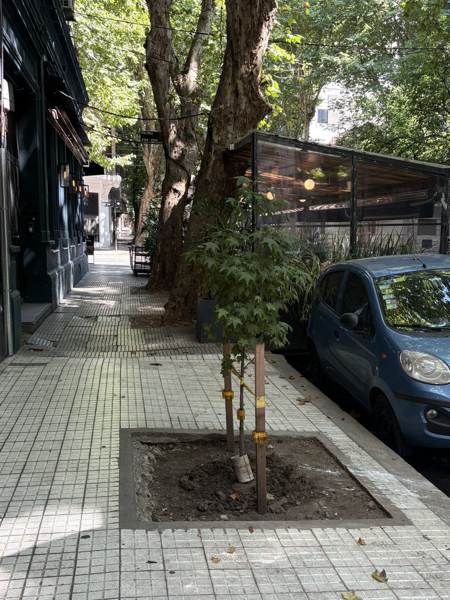 AguanteCerebro's tweet image. Devuelvan las veredas y las calles!