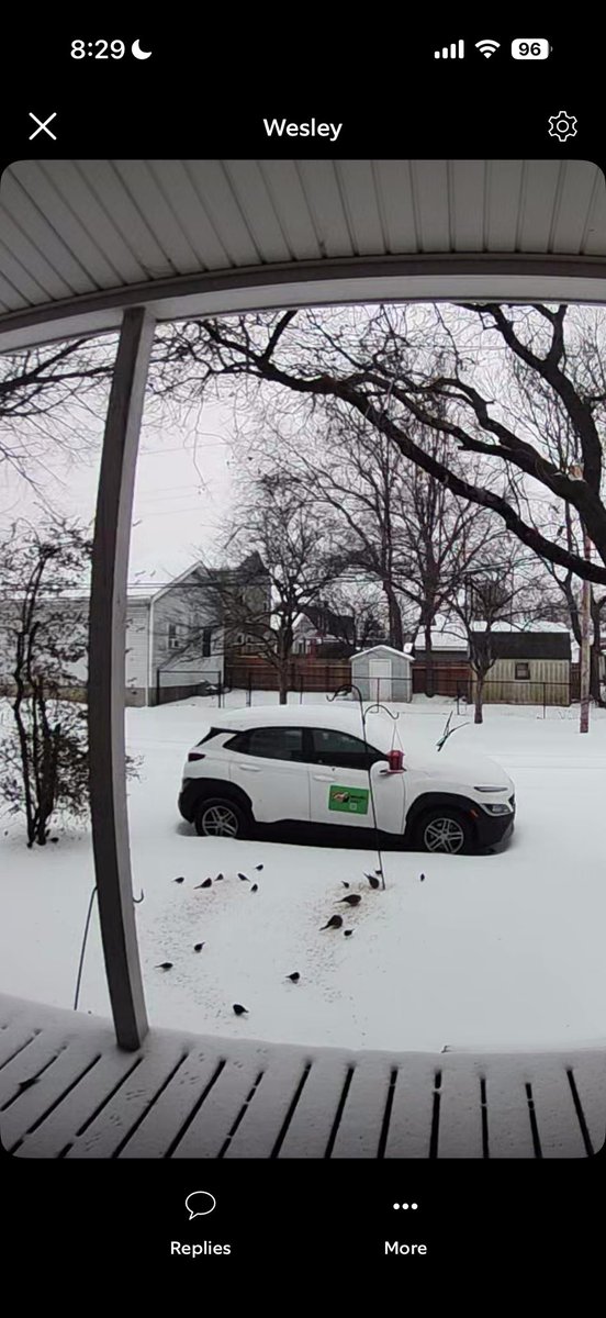 nobody you know tweet media