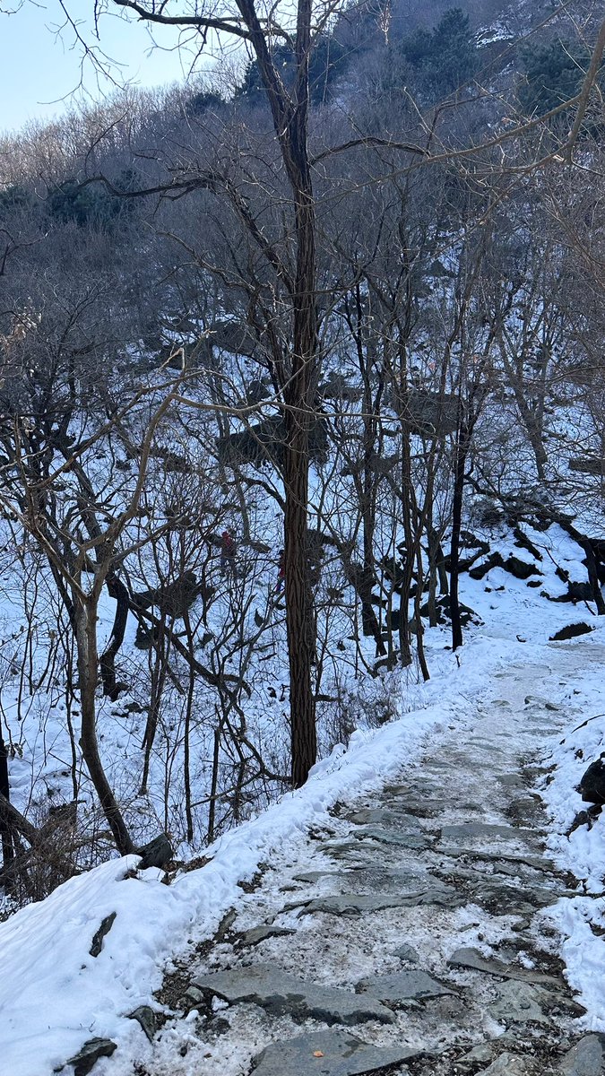 乐雾鹿🌛 tweet media