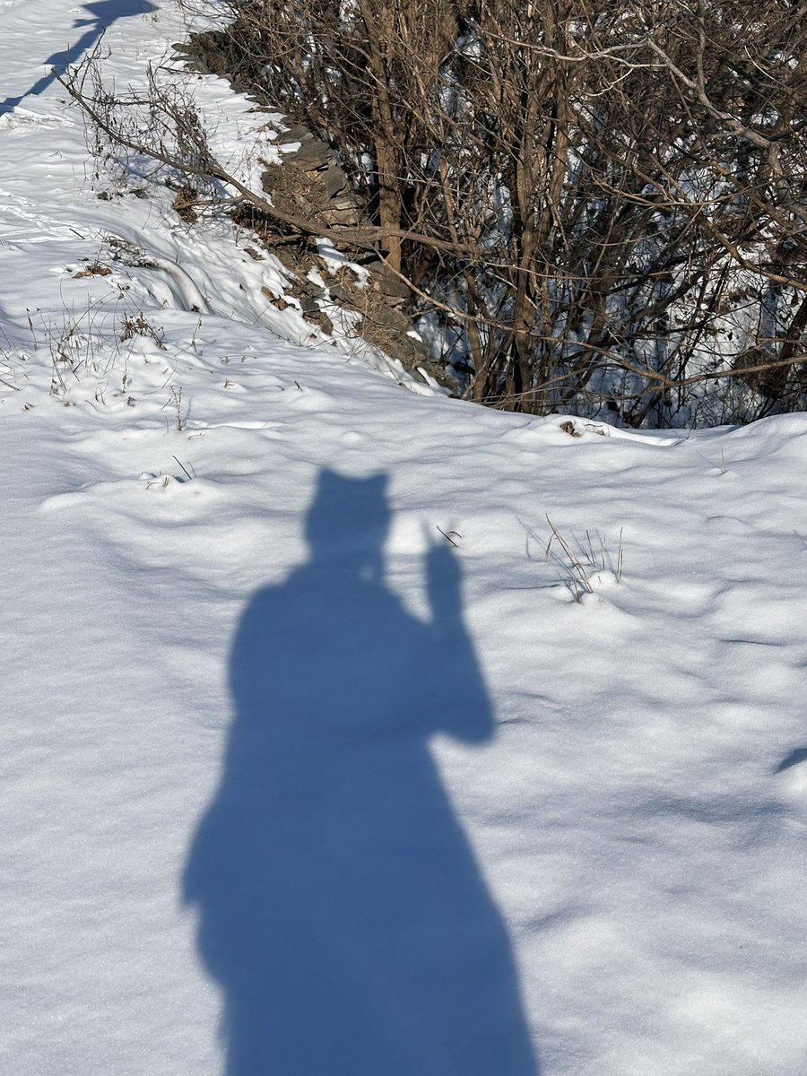 乐雾鹿🌛 tweet media