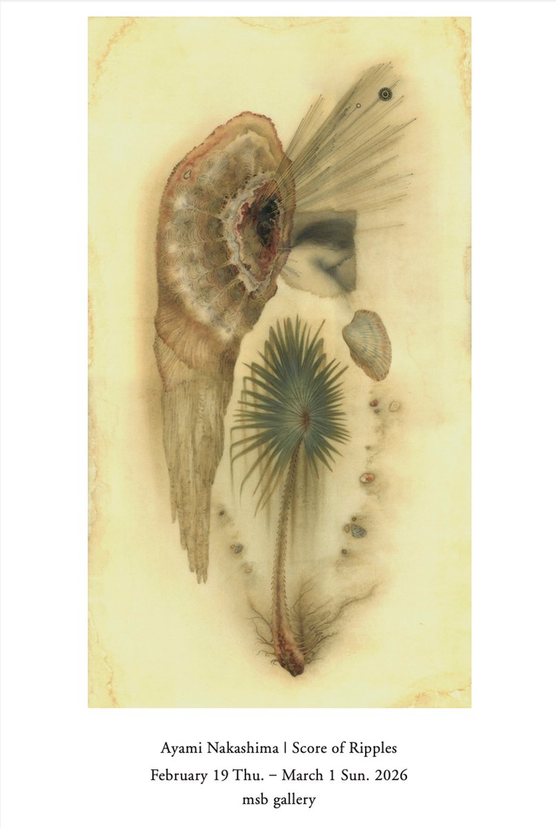 中島 綾美 𝒂𝒚𝒂𝒎𝒊 𝒏𝒂𝒌𝒂𝒔𝒉𝒊𝒎𝒂 tweet media