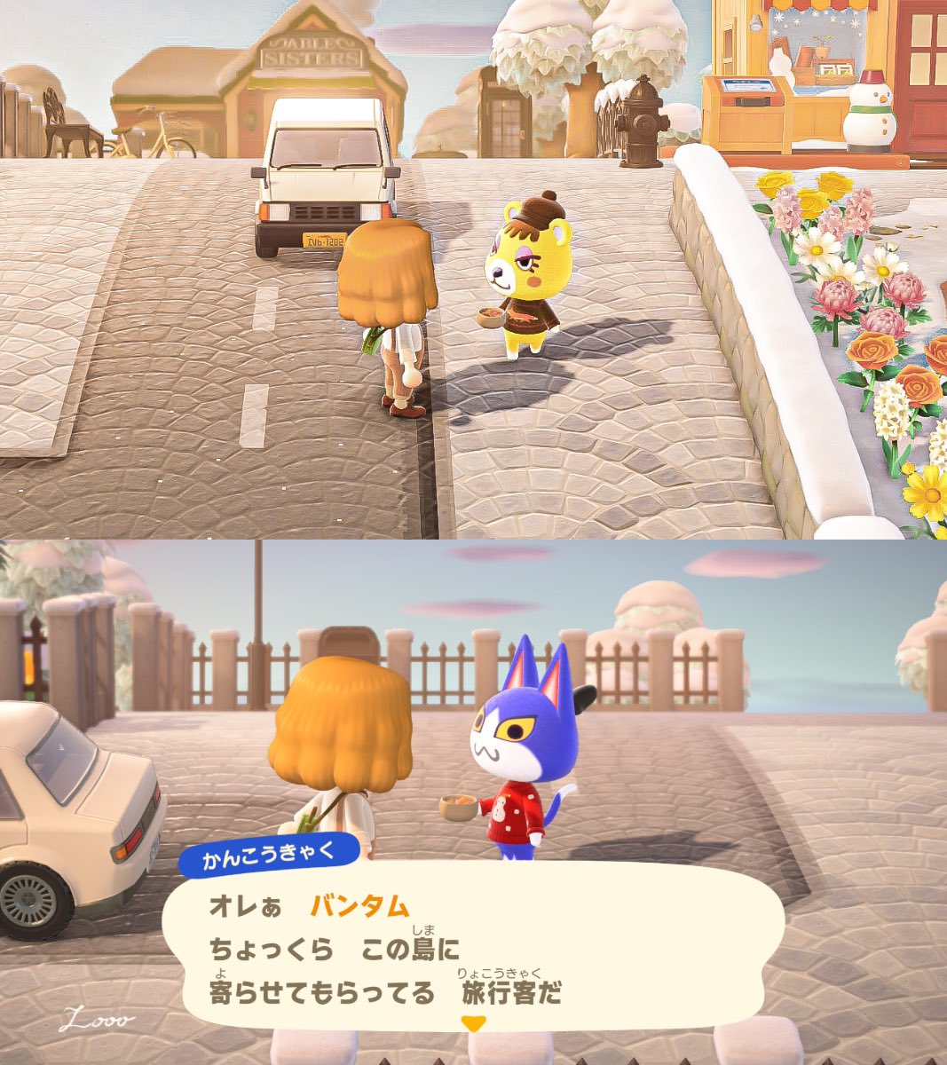 意外な衣装でかわいい観光客のみなさん（男女逆設定にしてたかも…）
#animalcrossing #acnh #あつ森 #クークー島