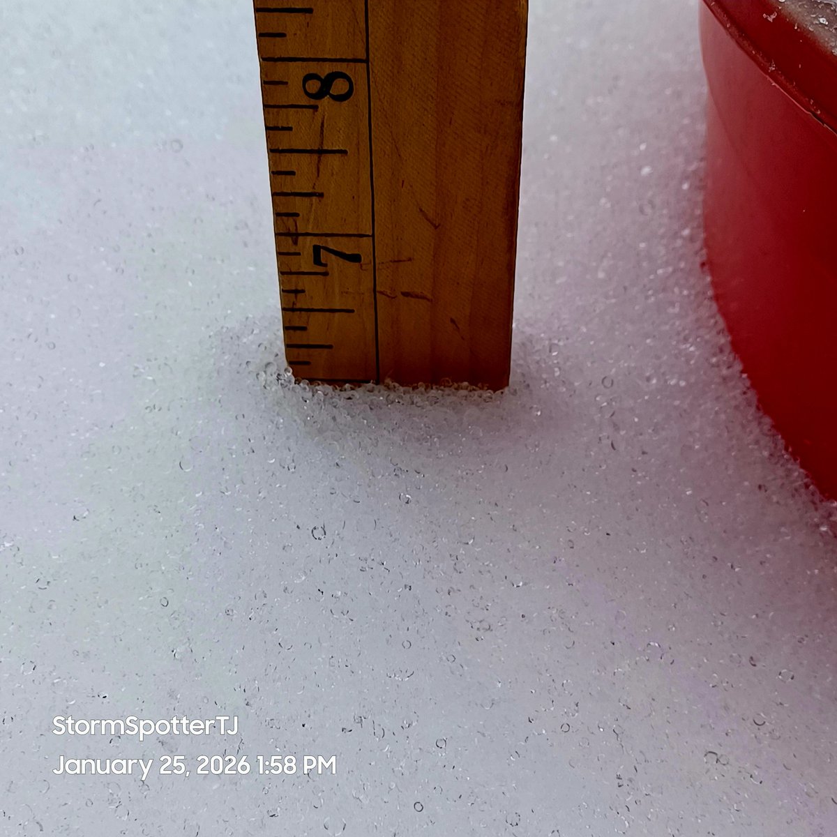 TJ Hoffer ⛈️🌪❄️ tweet media